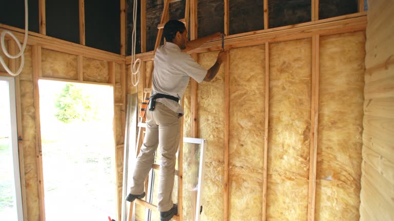 Best Weatherproofing Services  in Pleasant Hills, MD