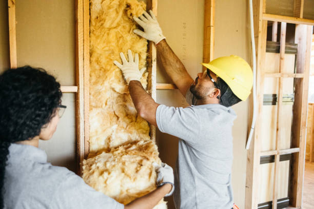 Best Reflective Insulation  in Pleasant Hills, MD