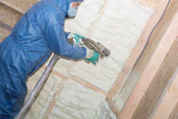 Best Thermal Imaging for Insulation Gaps  in Pleasant Hills, MD